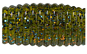 Твистер Pontoon 21 Homunculures Jilt 2 0 P21 SB JIL 2 0 08 113 Твистер Pontoon 21 Homunculures Jilt 2 0 P21 SB JIL 2 0 08 113