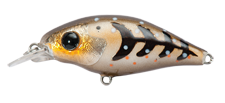 Воблер PONTOON 21 GEM 40F SR P21 GEM 40F SR 555