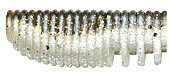 Виброхвост Pontoon 21 Homunculures Awaruna 3 0 P21 SB AWA 3 0 07 434 Виброхвост Pontoon 21 Homunculures Awaruna 3 0 P21 SB AWA 3 0 07 434