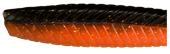 Виброхвост Pontoon 21 Homunculures Ratta 4 25 P21 SB RATTA 4 25 05 407 Виброхвост Pontoon 21 Homunculures Ratta 4 25 P21 SB RATTA 4 25 05 407