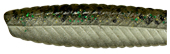 Виброхвост Pontoon 21 Homunculures Ratta 3 75 P21 SB RATTA 3 75 06 435 Виброхвост Pontoon 21 Homunculures Ratta 3 75 P21 SB RATTA 3 75 06 435