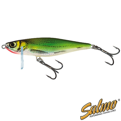 Воблер тонущ Salmo THRILL 09 EF